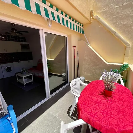 Cozy And Sunny With Everything Need, Great Location Apartment